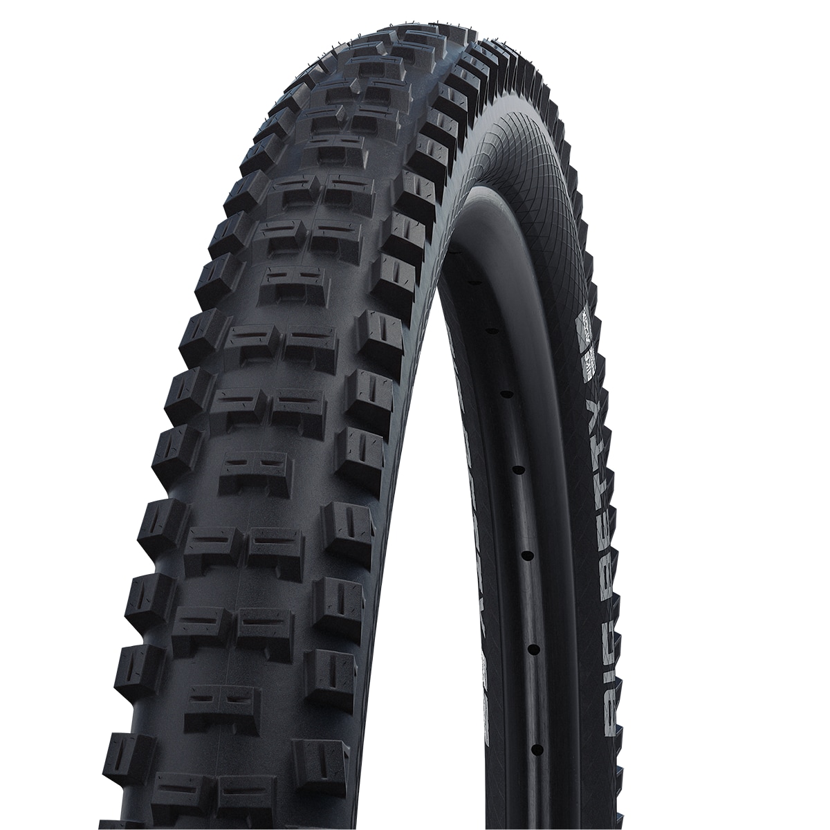 Schwalbe Big Betty Performance Line ADDIX Tube MTB-Drahtreifen