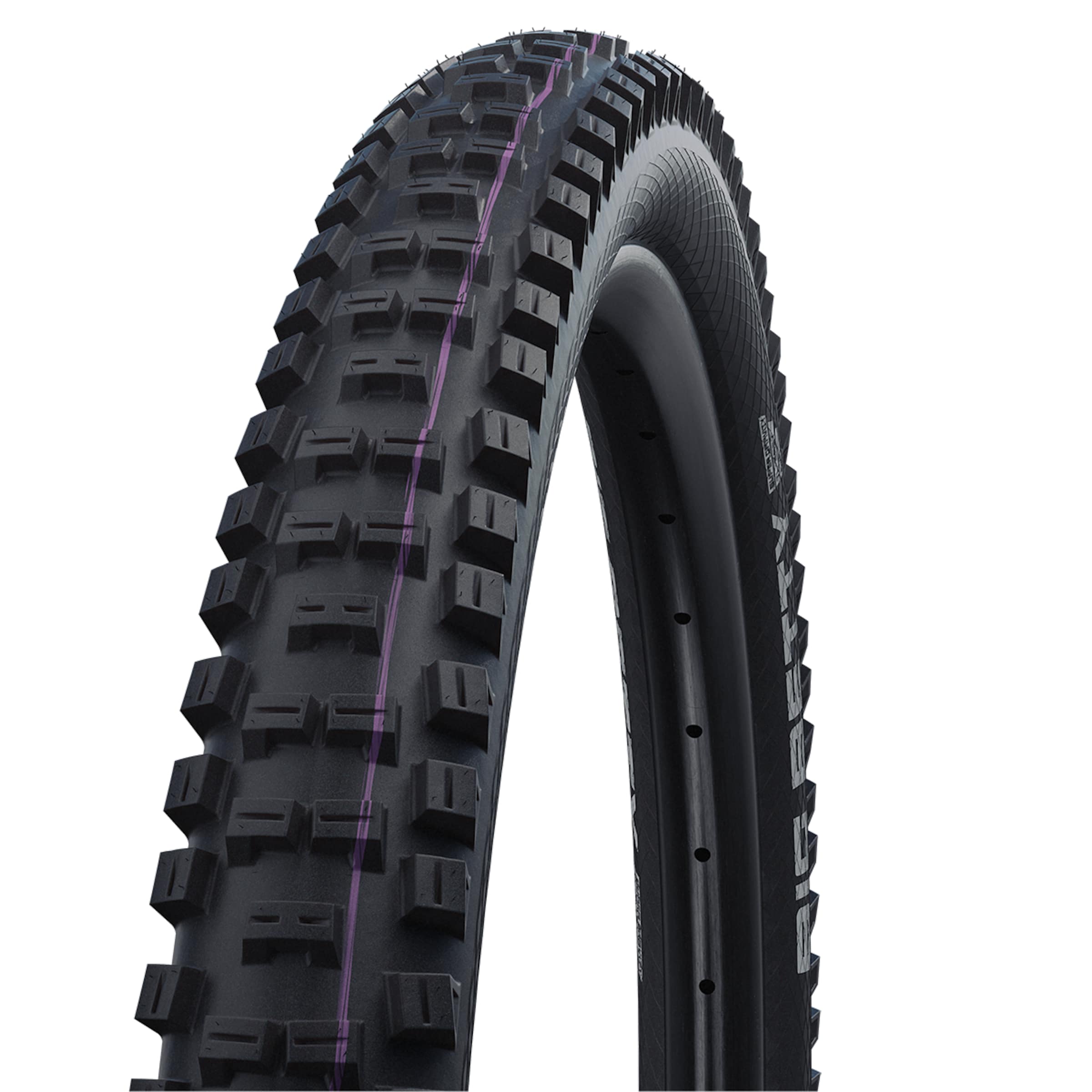 Big Betty Evolution Super Downhill ADDIX Ultra Soft TLE MTB Folding Tyre
