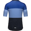 SPIRIT STRIPES JERSEY MENS Fahrradtrikot
