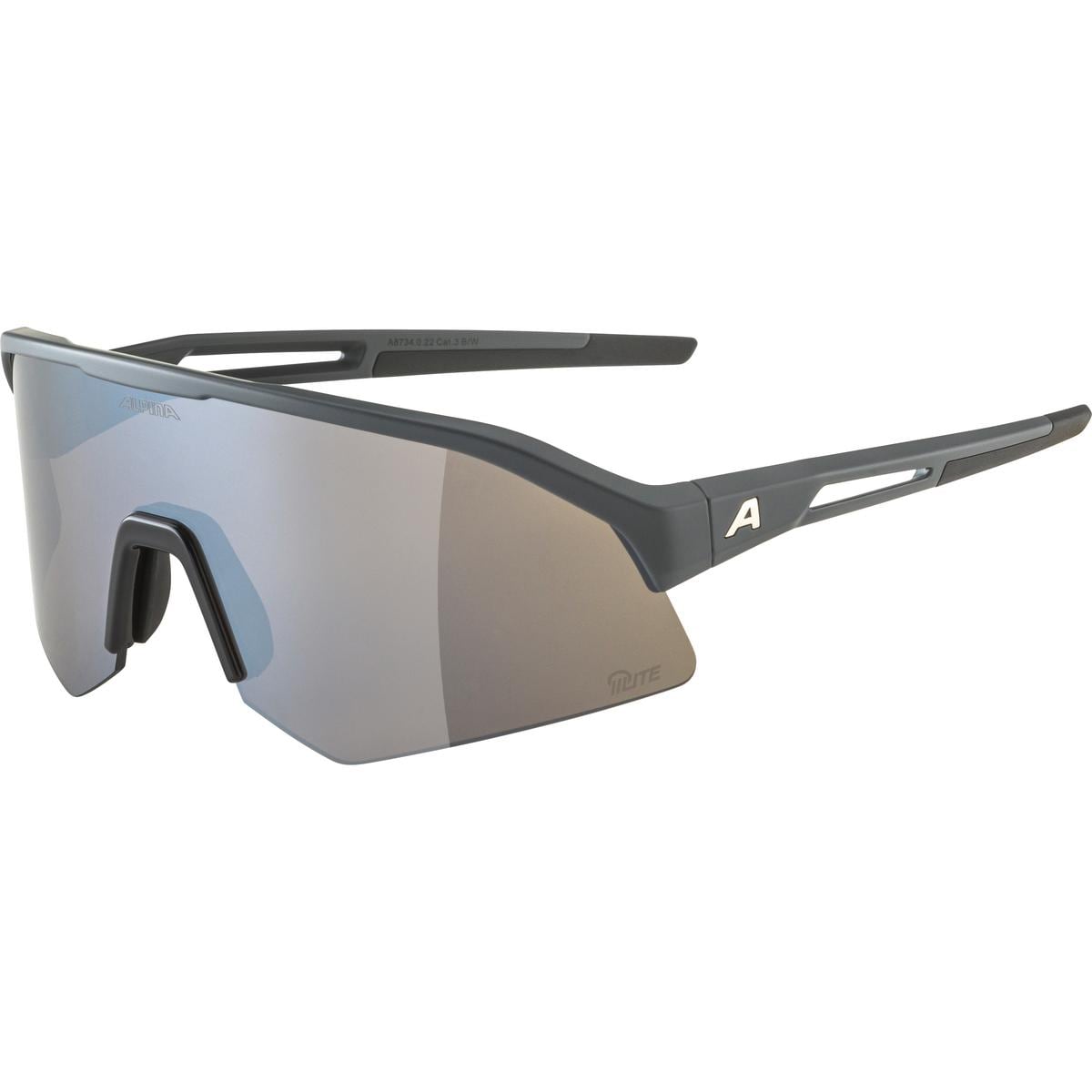 ALPINA SONIC HR Q-LITE Sportbrille
