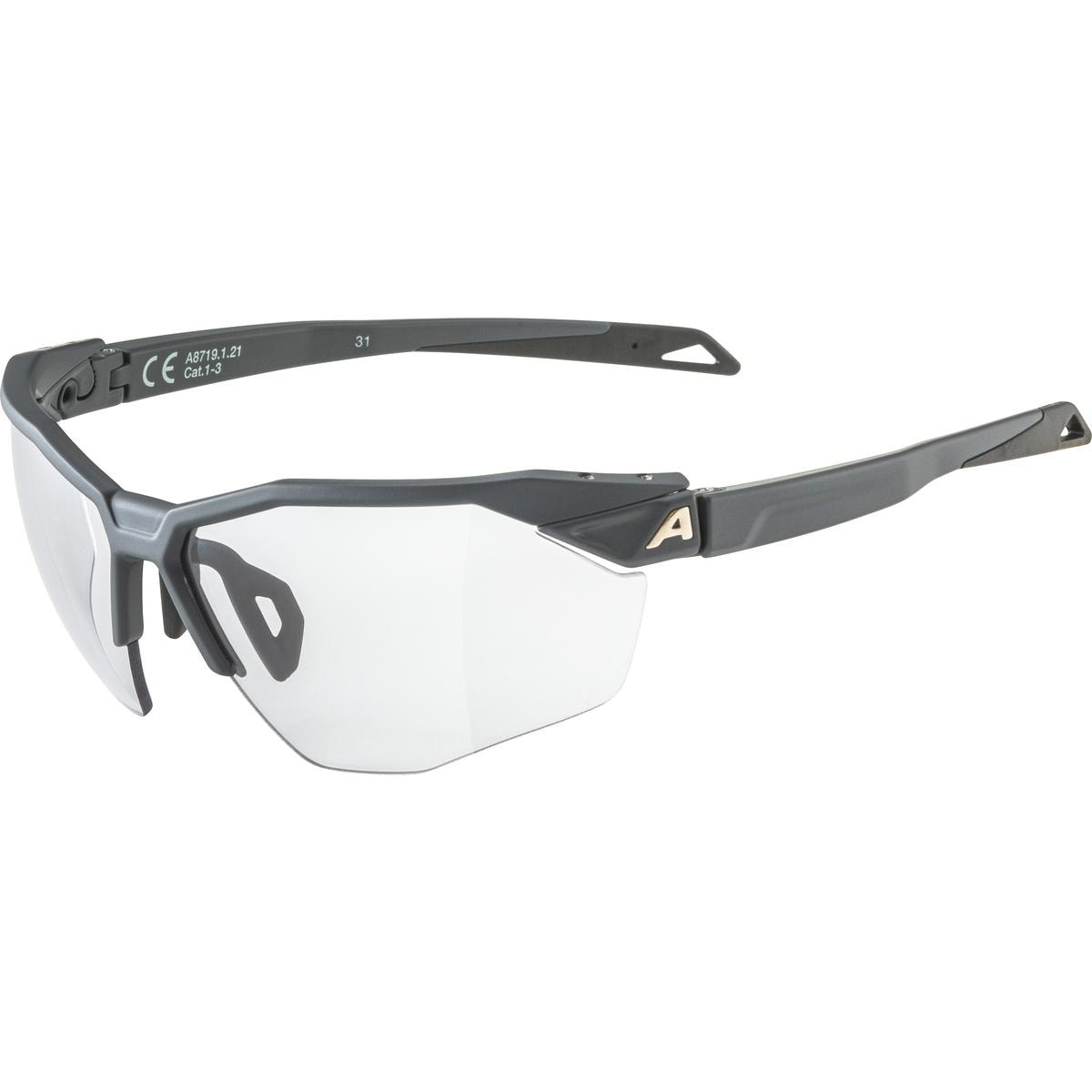 ALPINA TWIST SIX HR V Varioflex Sportbrille