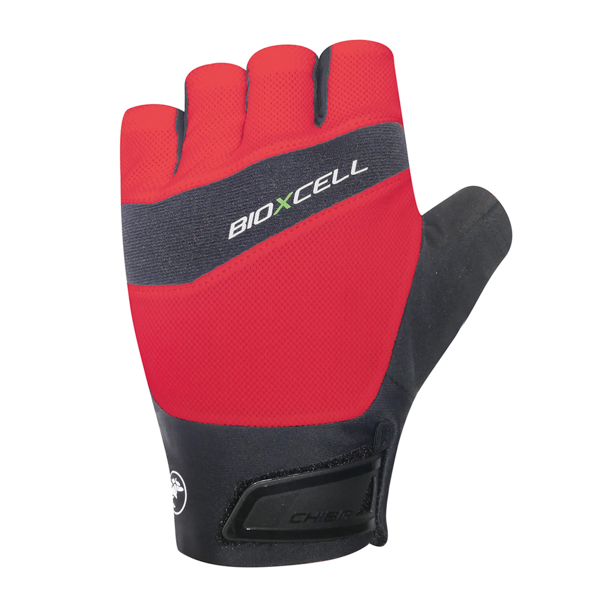 BIOXCELL PRO Kurzfinger Fahrradhandschuhe