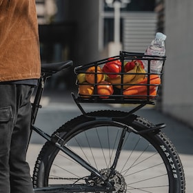 TetraRack M2 HD porte-bagages de vtt arrière max. 22 kg