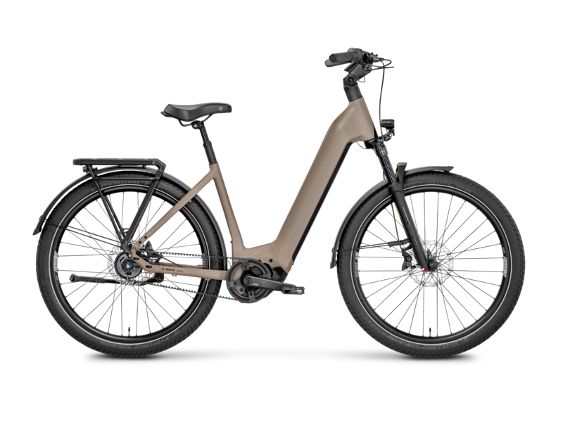 ROSE Mayor Plus 2 LowStep