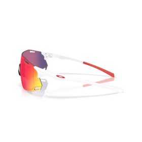 CYBR DYNO Sports Sunglasses