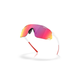 CYBR DYNO Sports Sunglasses