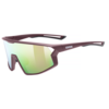 SKYRYSE lunettes de sport