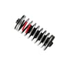 G.2/D.2 ST Replacement Spring