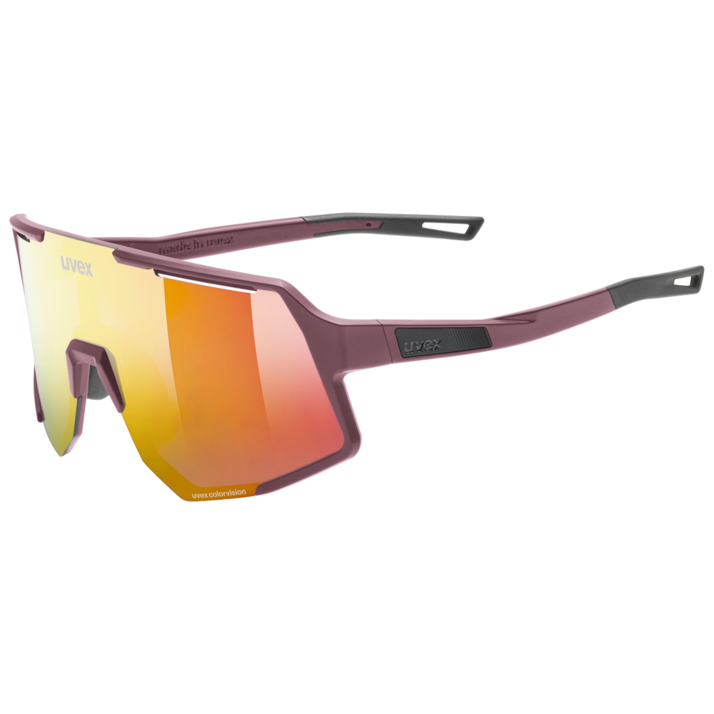 SEQUENZE CV sportbril