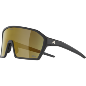 RAM Q-LITE lunettes de sport 