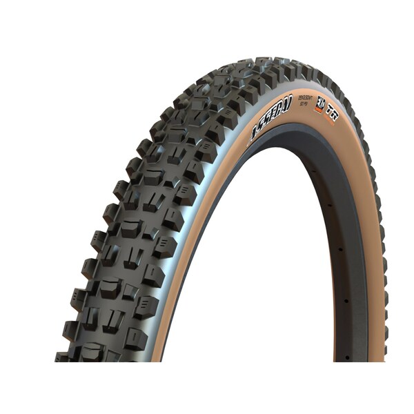 Assegai TR EXO DUAL COMPOUND MTB vouwband