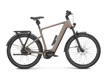Mayor Plus 3 Testbike Größe : L (B-Ware)