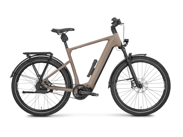 Mayor Plus 3 Testbike Größe : L (B-Ware)