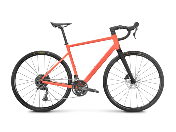 Blend Road Testbike Größe : S (B-Ware)