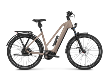 Mayor Plus 3 MidStep Testbike Größe : S (B-Ware)