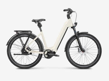 Mayor Plus 3