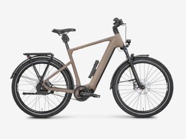Mayor Plus 3