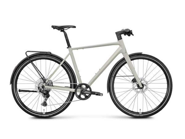 Sneak 2 EQ Ausstellungsbike Größe : XL (B-Ware) 