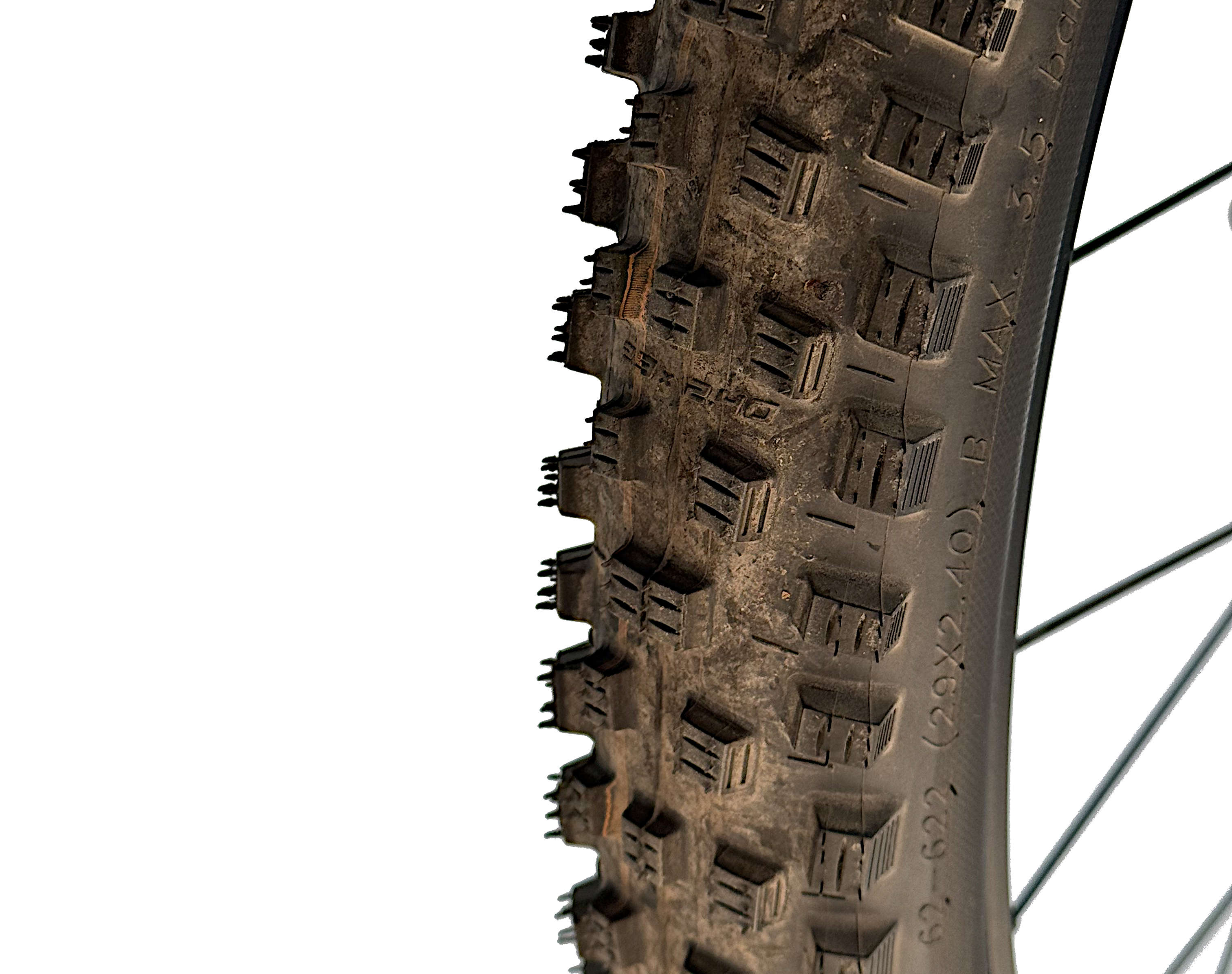 Bonero Plus 2 Testbike Größe : L (B-Ware) 