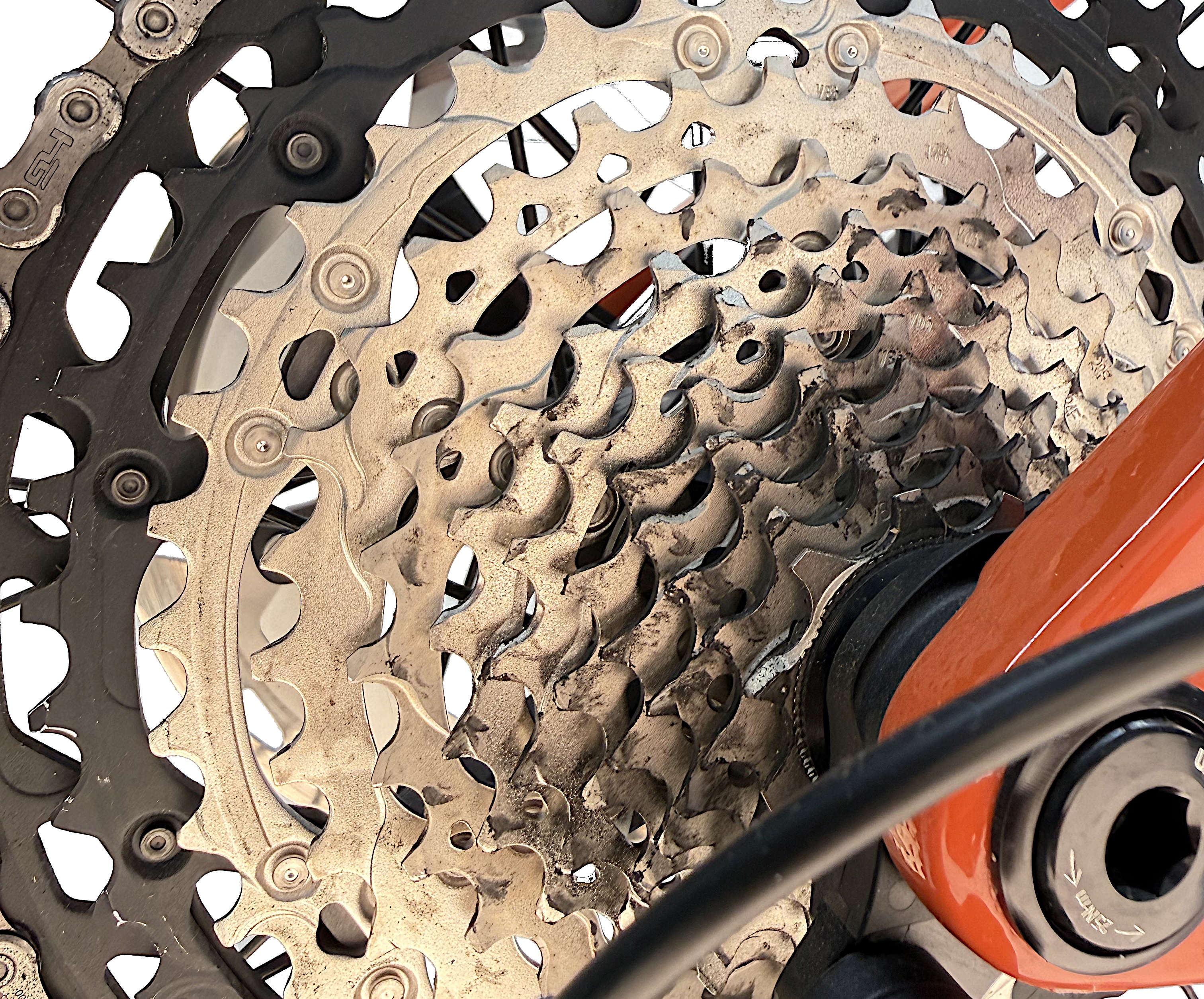 Bonero Plus 2 Testbike Größe : L (B-Ware) 