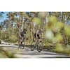 PACE STAGE RISE Sports Glasses