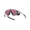 JAWBREAKER (prizm) Sportbrille