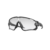 polished black / clear to black photochromic