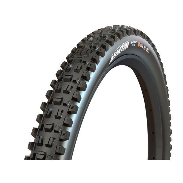 Assegai TR EXO+ MaxxTerra MTB vouwband