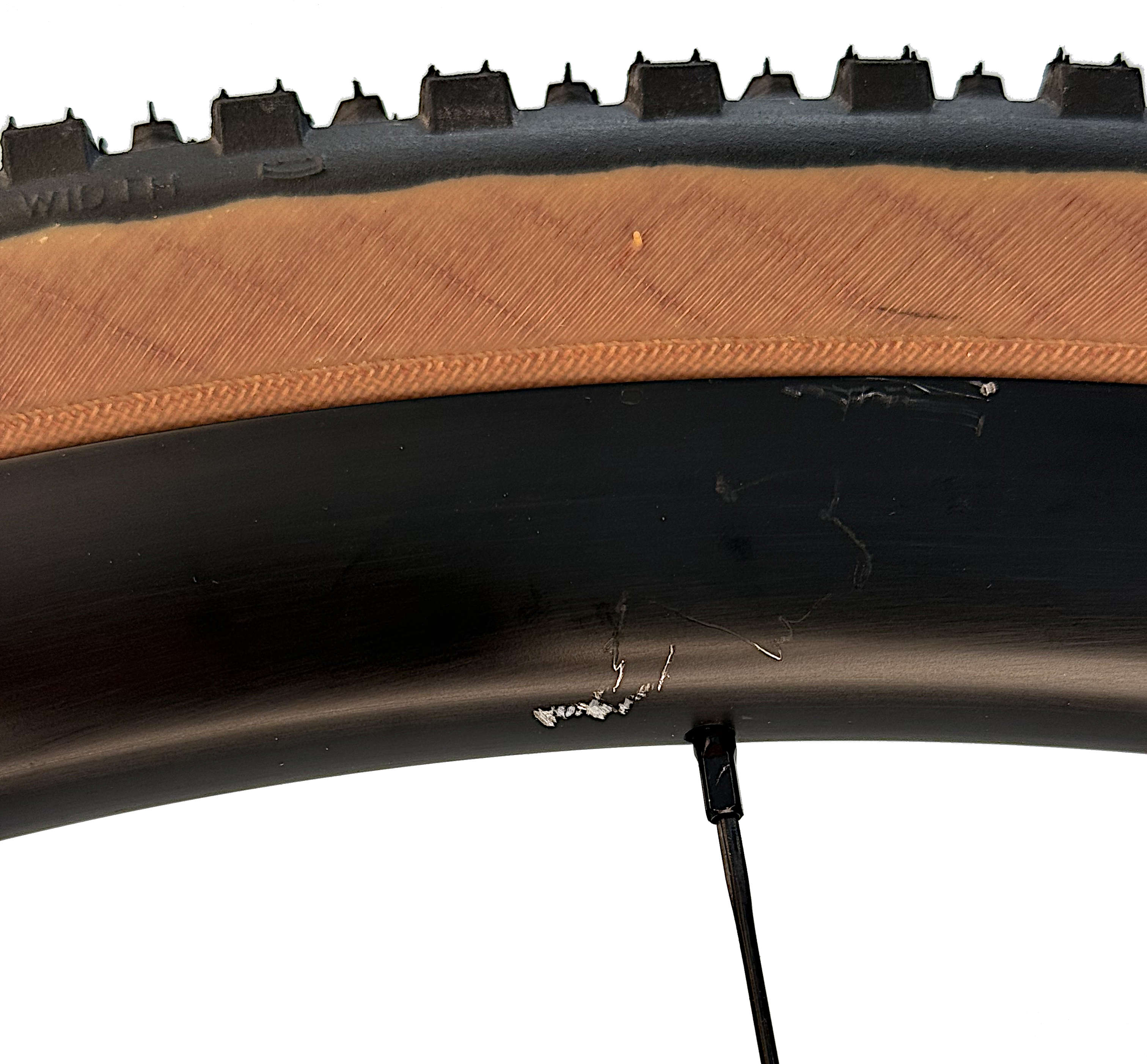 Backroad APEX AXS XPLR 1x12 Ausstellungsbike Größe : 59 cm (B-Ware) 