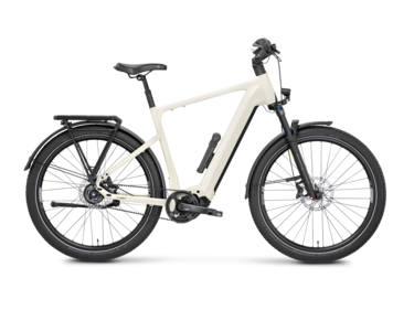 Mayor Plus 2 Testbike Größe : M (B-Ware) 