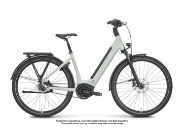 Xtra Watt Plus 2 LowStep Ausstellungsbike Größe: 21" (B-Ware)